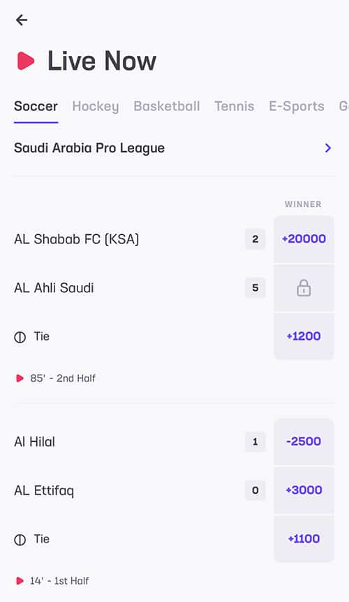 live betting on hard rock bet